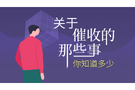 雷大头要账大全：教你轻松应对债务问题